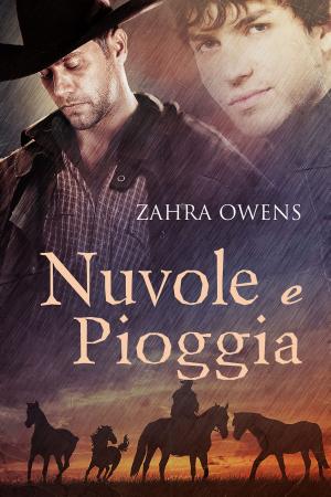 Cover of the book Nuvole e pioggia by Camille LaGuire