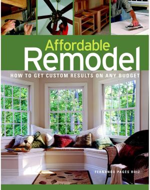 Book cover of Affordable Remodel