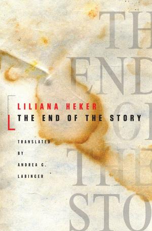 Book cover of The End of the Story
