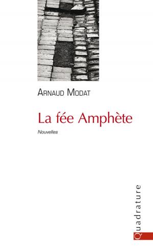 Book cover of La fée Amphète
