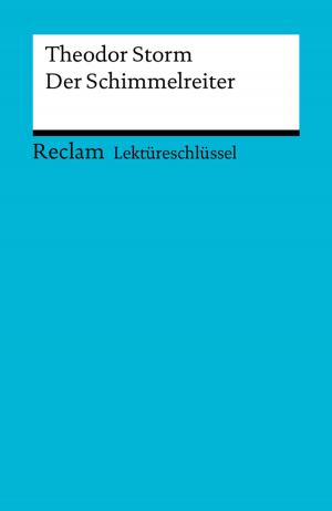 Cover of the book Lektüreschlüssel. Theodor Storm: Der Schimmelreiter by Annette von Droste-Hülshoff