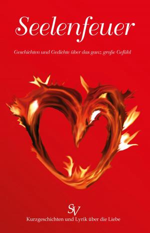 Book cover of Seelenfeuer