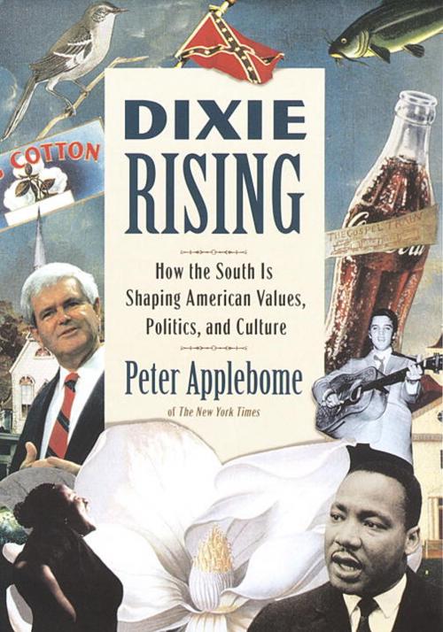 Cover of the book Dixie Rising by Peter Applebome, Crown/Archetype