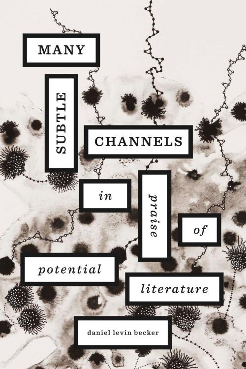 Cover of the book Many Subtle Channels by Daniel Levin Becker, Harvard University Press