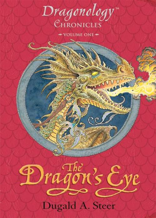 Cover of the book The Dragon's Eye by Dugald A. Steer, Candlewick Press