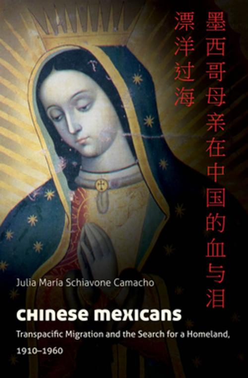 Cover of the book Chinese Mexicans by Julia María Schiavone Camacho, The University of North Carolina Press