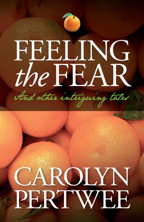 Cover of the book Feeling the Fear by Carolyn Pertwee, Alliance Publishing Press