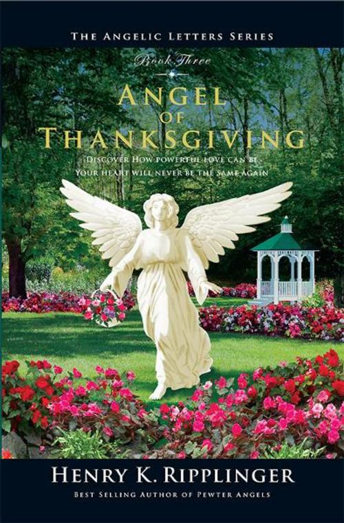 Cover of the book Angel of Thanksgiving by Henry K. Ripplinger, Pio-Seelos Books