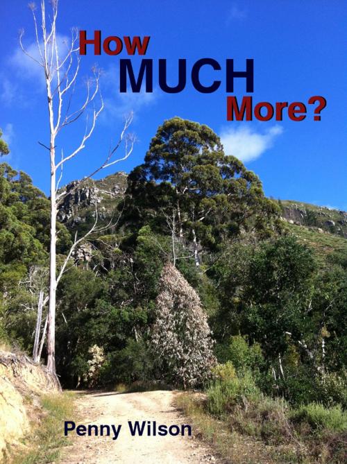 Cover of the book How Much More? by Penny Wilson, Truth House Publishing