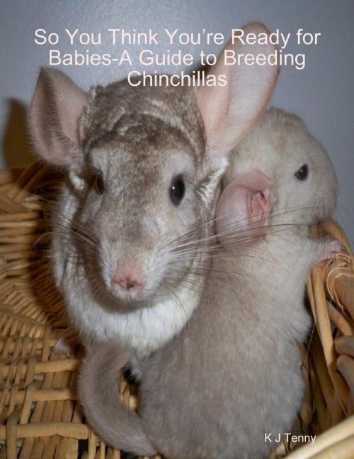 Cover of the book So You Think You’re Ready for Babies - A Guide to Breeding Chinchillas by K J Tenny, Lulu.com