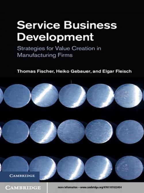 Cover of the book Service Business Development by Thomas Fischer, Heiko Gebauer, Elgar Fleisch, Cambridge University Press