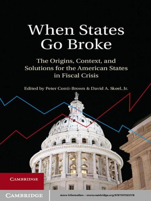 Cover of the book When States Go Broke by , Cambridge University Press