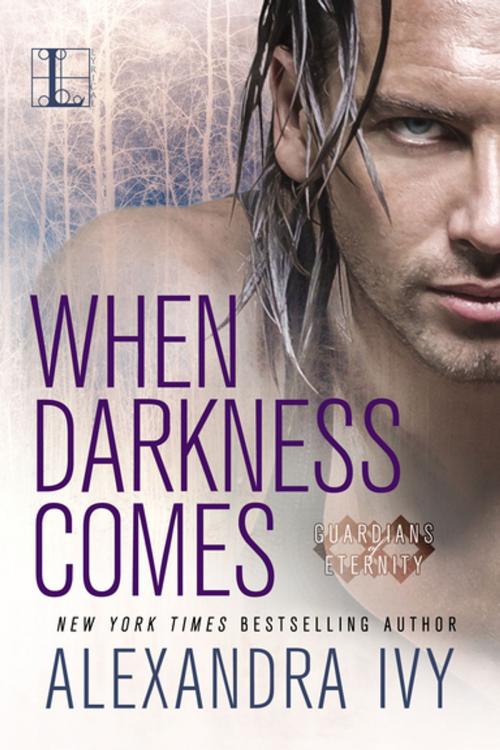 Cover of the book When Darkness Comes by Alexandra Ivy, Zebra Books