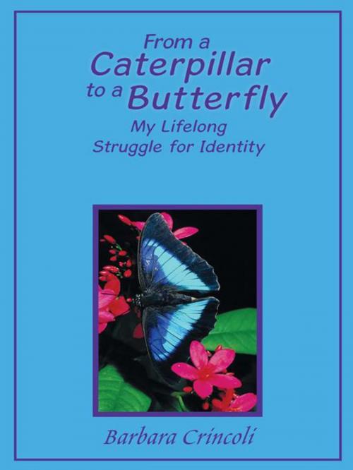 Cover of the book From a Caterpillar to a Butterfly by Barbara Crincoli, WestBow Press