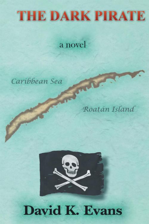 Cover of the book The Dark Pirate by David K. Evans, Trafford Publishing