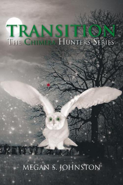 Cover of the book Transition by Megan S. Johnston, AuthorHouse