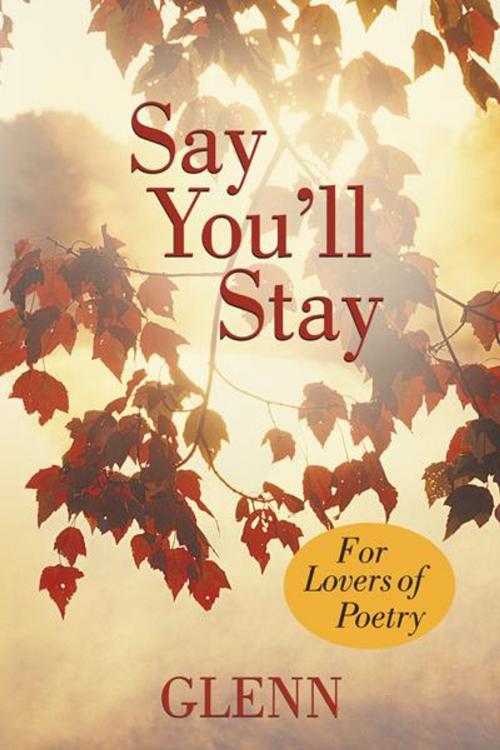 Cover of the book Say You’Ll Stay by Glenn, iUniverse