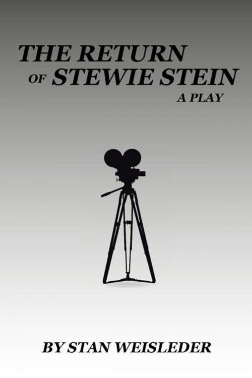 Cover of the book The Return of Stewie Stein by Stan Weisleder, iUniverse