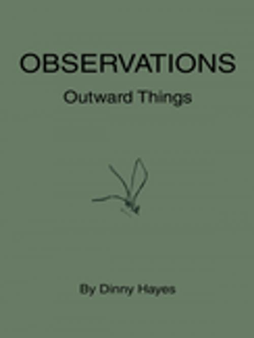 Cover of the book Observations by Dinny Hayes, iUniverse