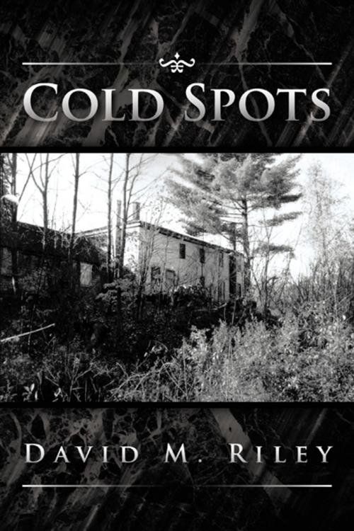 Cover of the book Cold Spots by David M. Riley, iUniverse