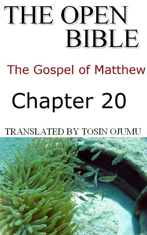 Cover of the book The Open Bible: The Gospel of Matthew: Chapter 20 by Open Bible Matthew, The Open Bible