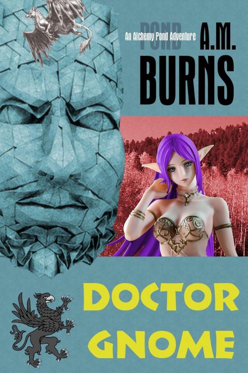 Cover of the book Doctor Gnome by A.M. Burns, A.M. Burns