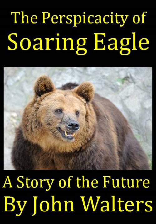 Cover of the book The Perspicacity of Soaring Eagle by John Walters, John Walters