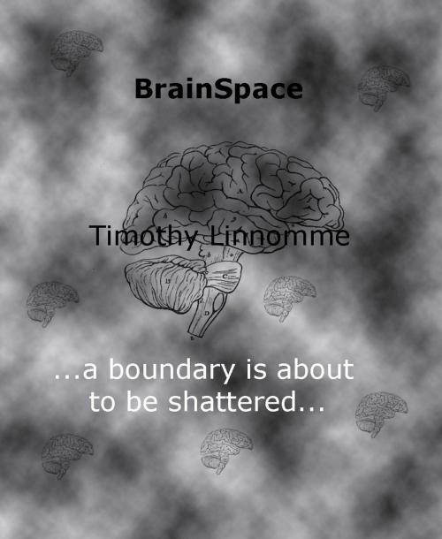 Cover of the book BrainSpace by Timothy Linnomme, Timothy Linnomme