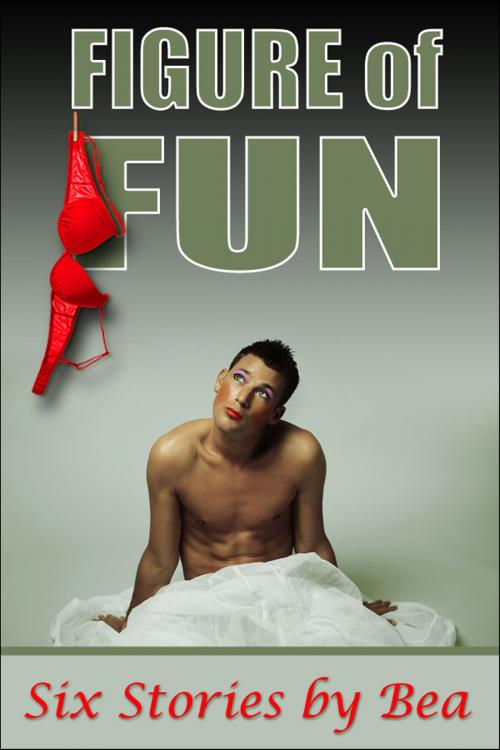 Cover of the book Figure of Fun by Bea, Bea