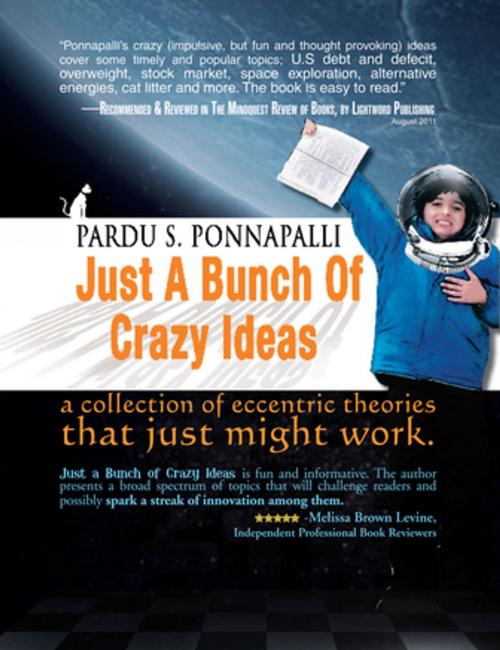 Cover of the book Just a Bunch of Crazy Ideas by Pardu S. Ponnapalli, Xlibris US