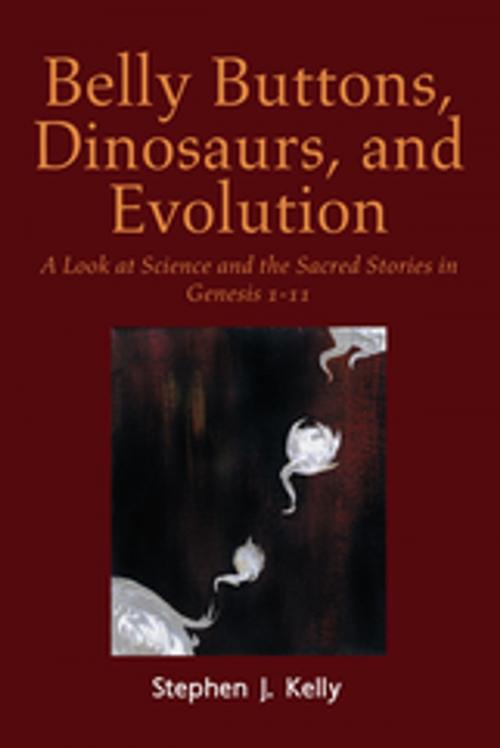 Cover of the book Belly Buttons, Dinosaurs, and Evolution by Stephen J. Kelly, Xlibris US