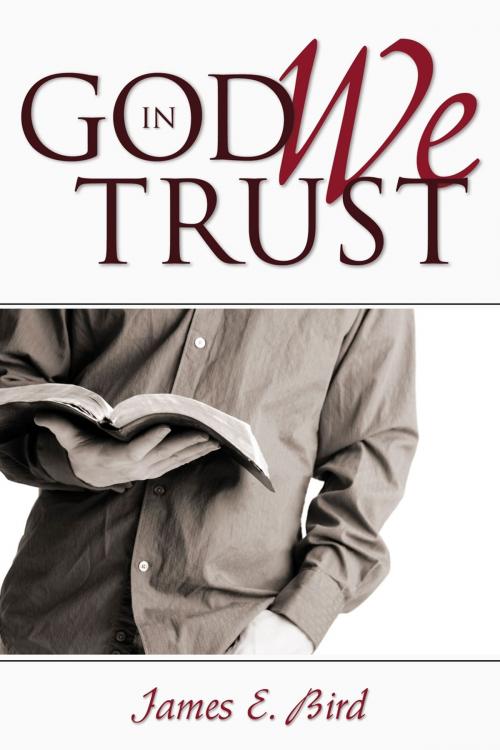 Cover of the book In God We Trust by James E. Bird, Word Alive Press