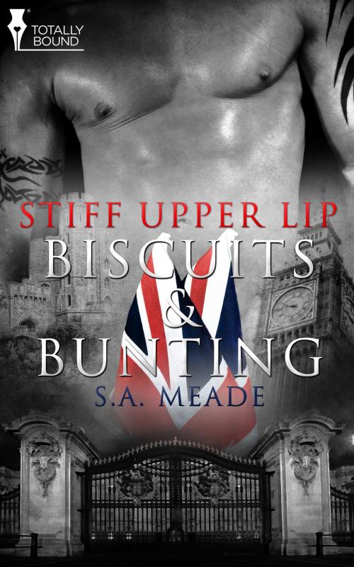 Cover of the book Biscuits and Bunting by S.A. Meade, Totally Entwined Group Ltd