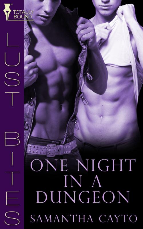 Cover of the book One Night in a Dungeon by Samantha Cayto, Totally Entwined Group Ltd