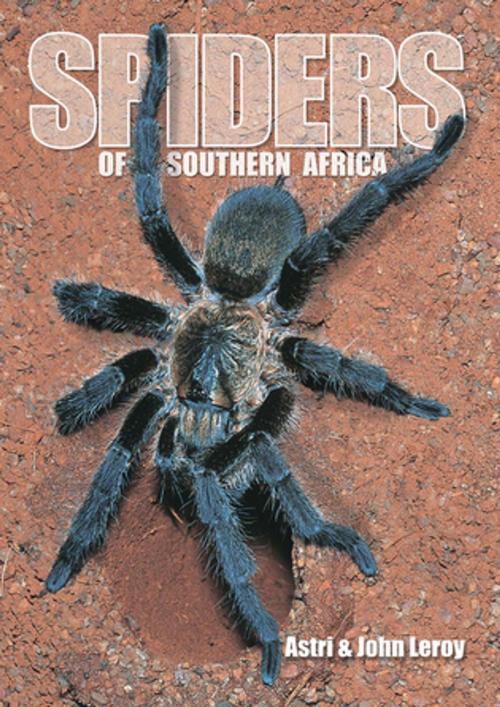 Cover of the book Spiders of Southern Africa by Astri Leroy, Penguin Random House South Africa