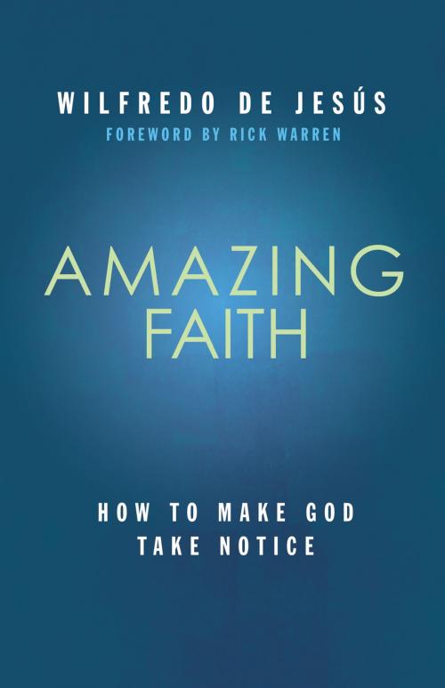 Cover of the book Amazing Faith by Wilfredo de Jesus, Influence Resources