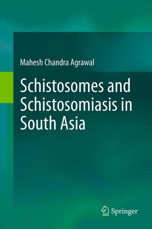 Cover of the book Schistosomes and Schistosomiasis in South Asia by Prof. Mahesh Chandra Agrawal, Springer India