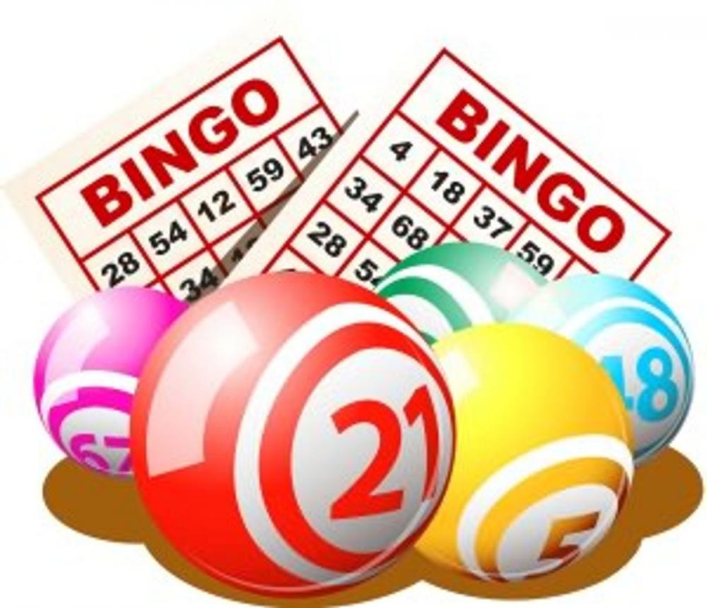 Big bigCover of Playing Bingo for Beginners