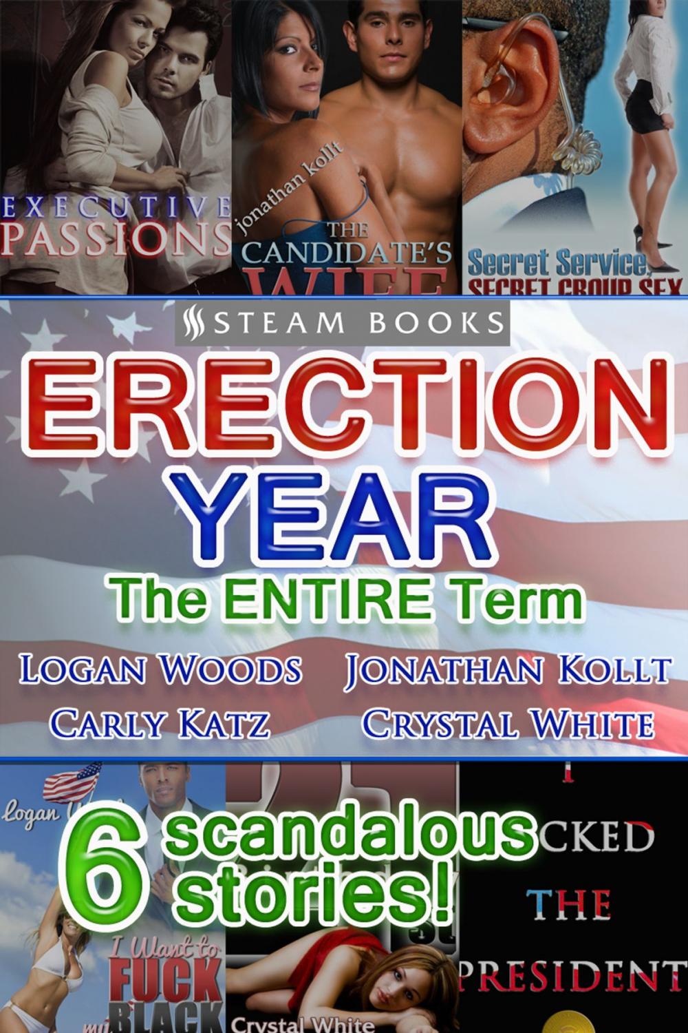 Big bigCover of Erection Year: The ENTIRE Term