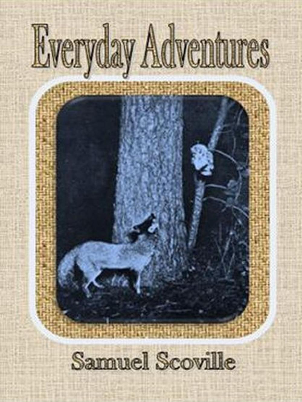 Big bigCover of Everyday Adventures