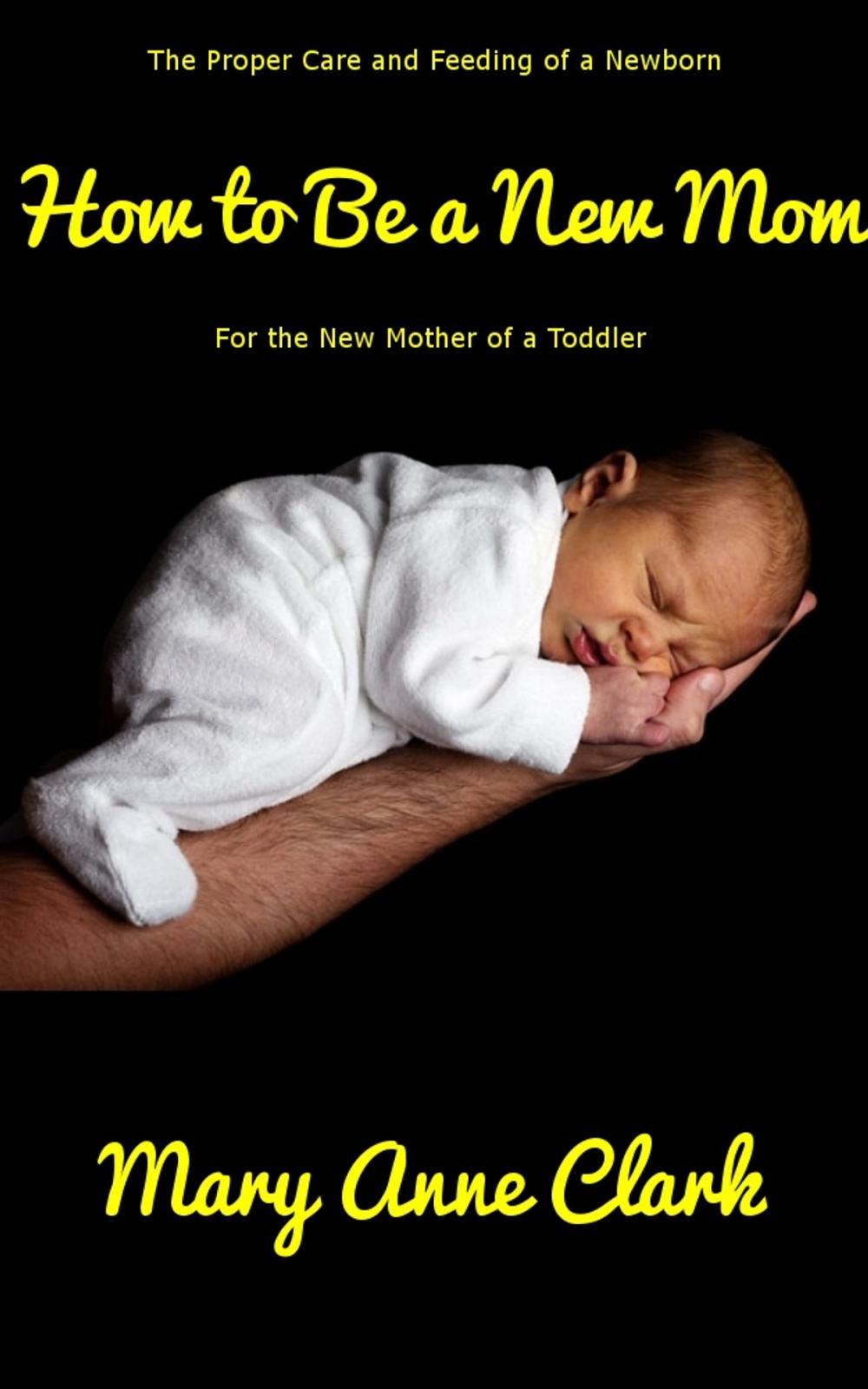 Big bigCover of How to Be a New Mom: Baby Care for the New Mother of a Toddler