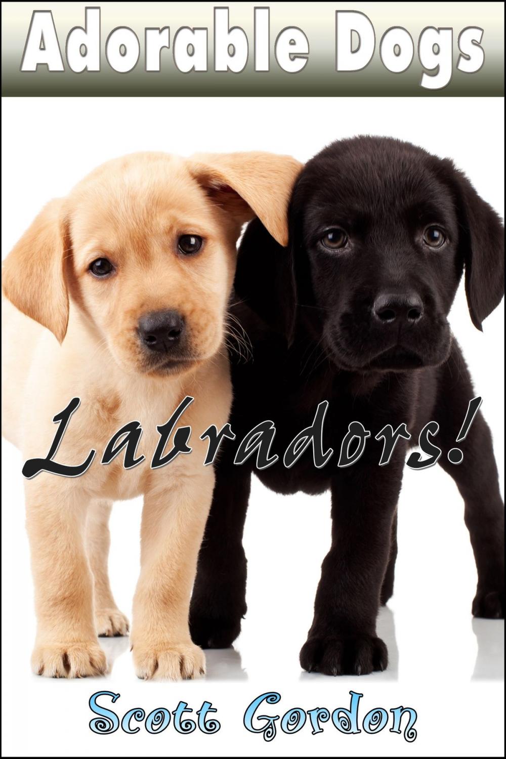 Big bigCover of Adorable Dogs: Labradors!