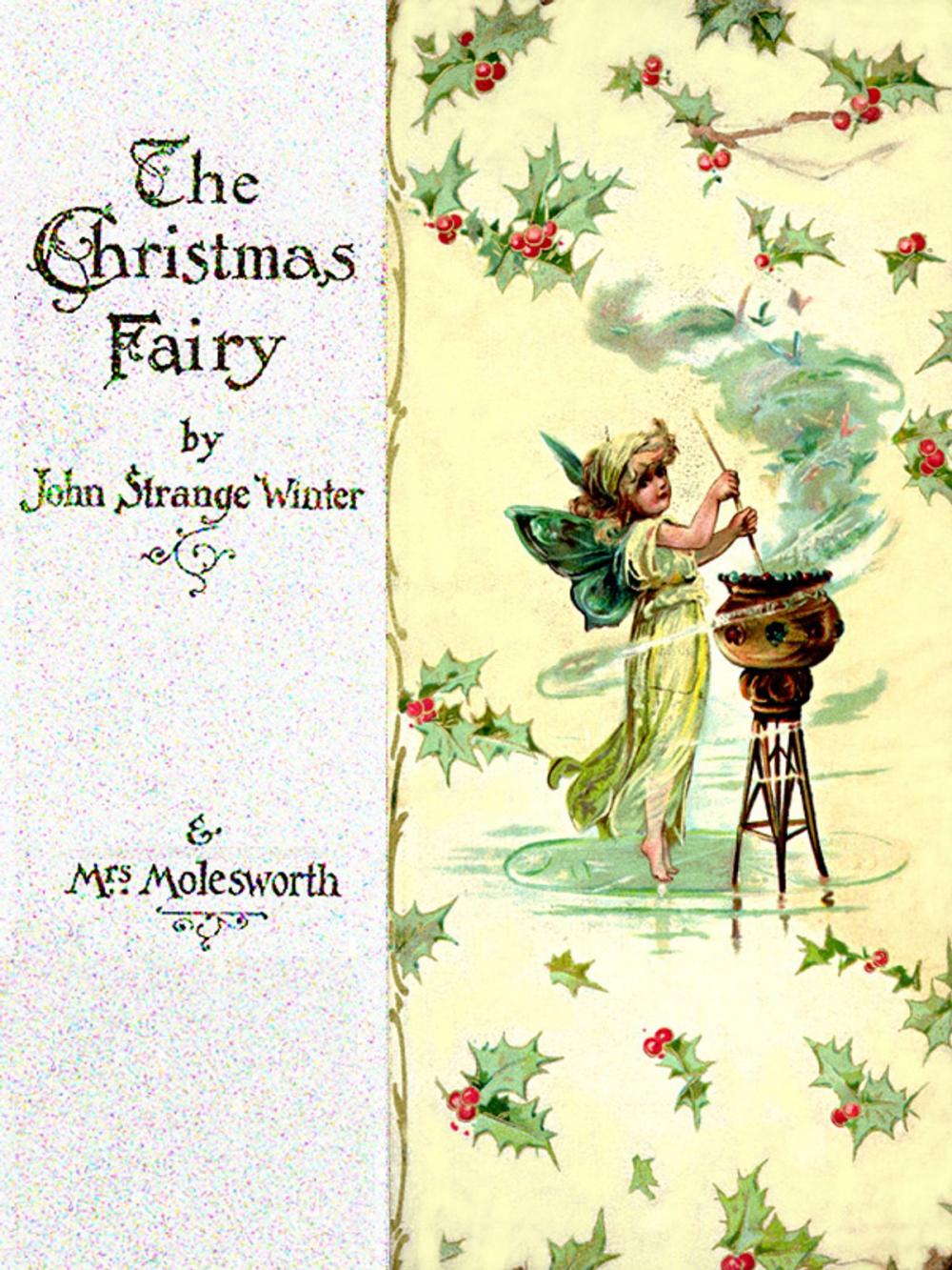 Big bigCover of A Christmas fairy (Illustrated edition)