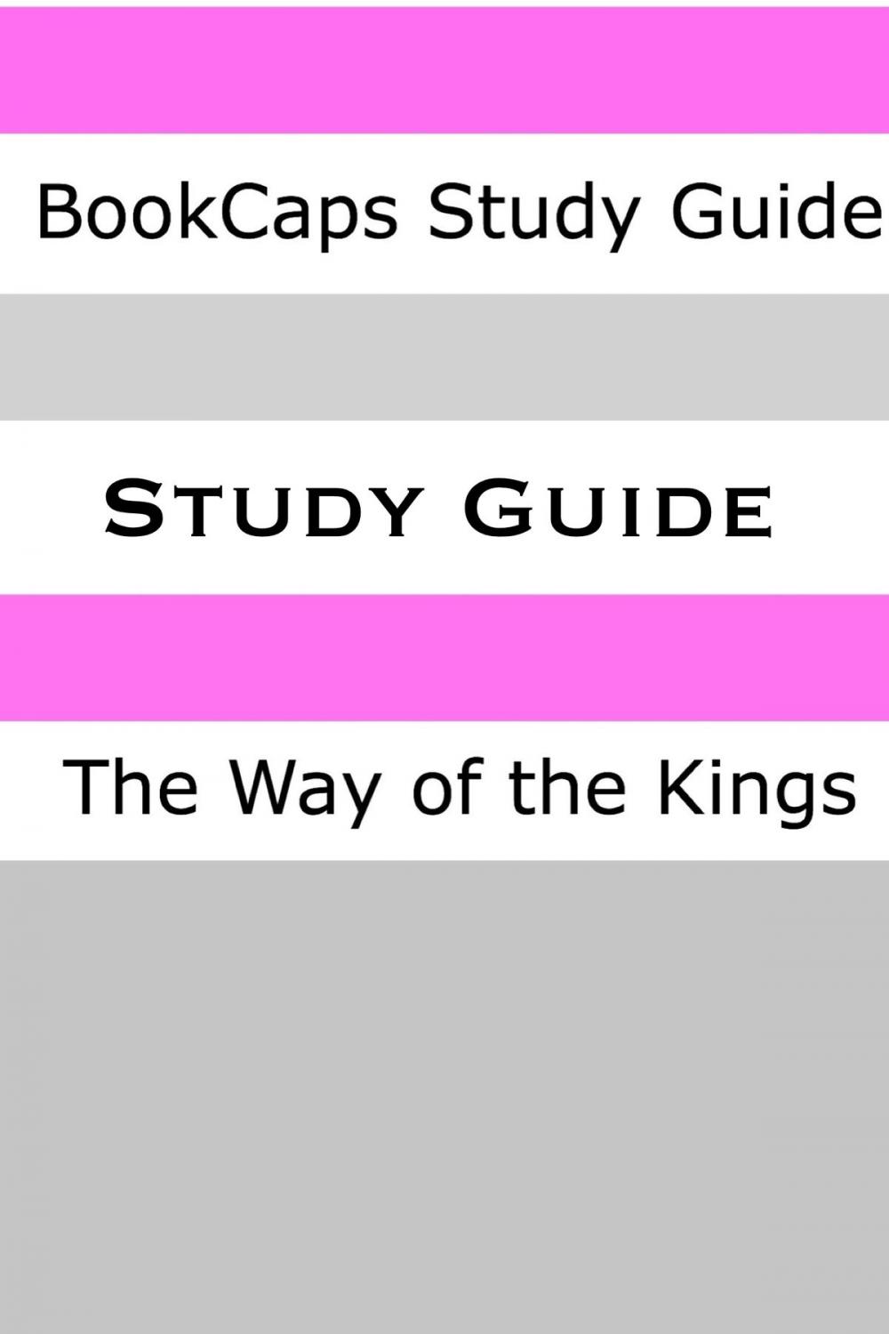 Big bigCover of Study Guide: The Way of Kings