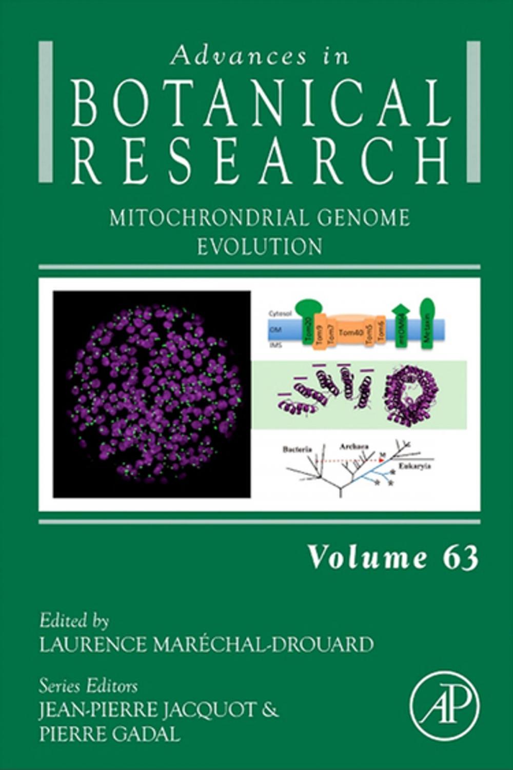 Big bigCover of Mitochondrial Genome Evolution