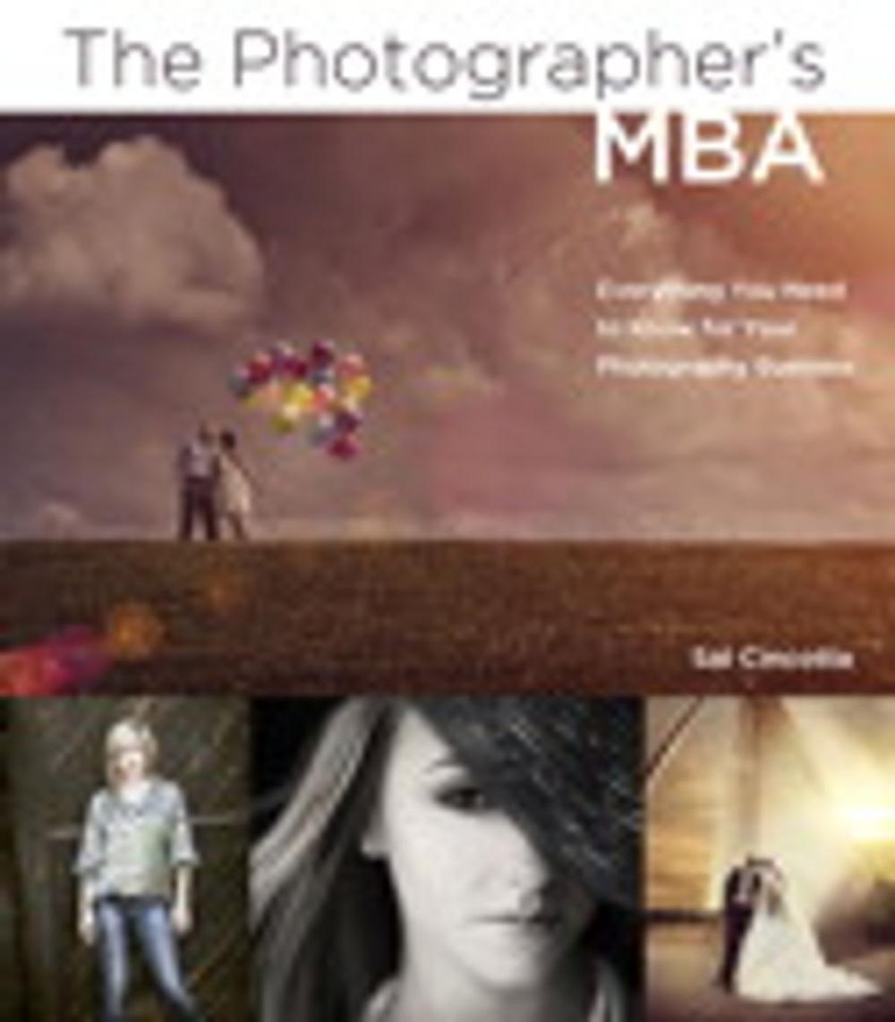 Big bigCover of The Photographer's MBA