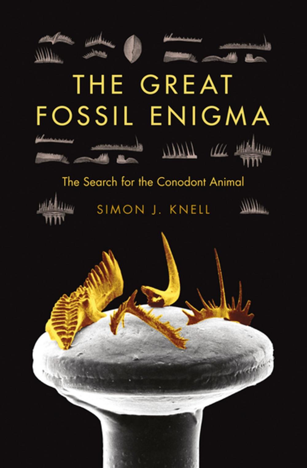 Big bigCover of The Great Fossil Enigma