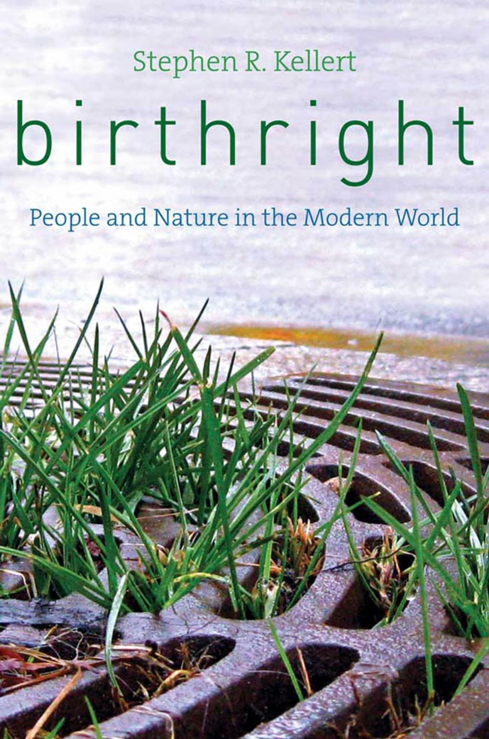 Big bigCover of Birthright: People and Nature in the Modern World