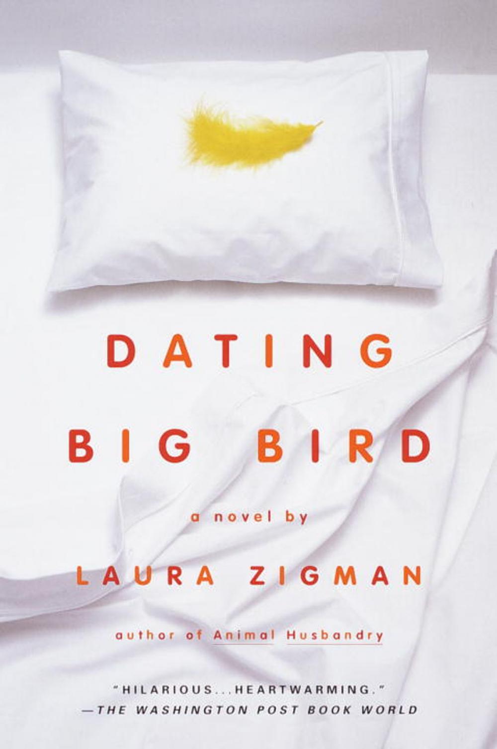 Big bigCover of Dating Big Bird