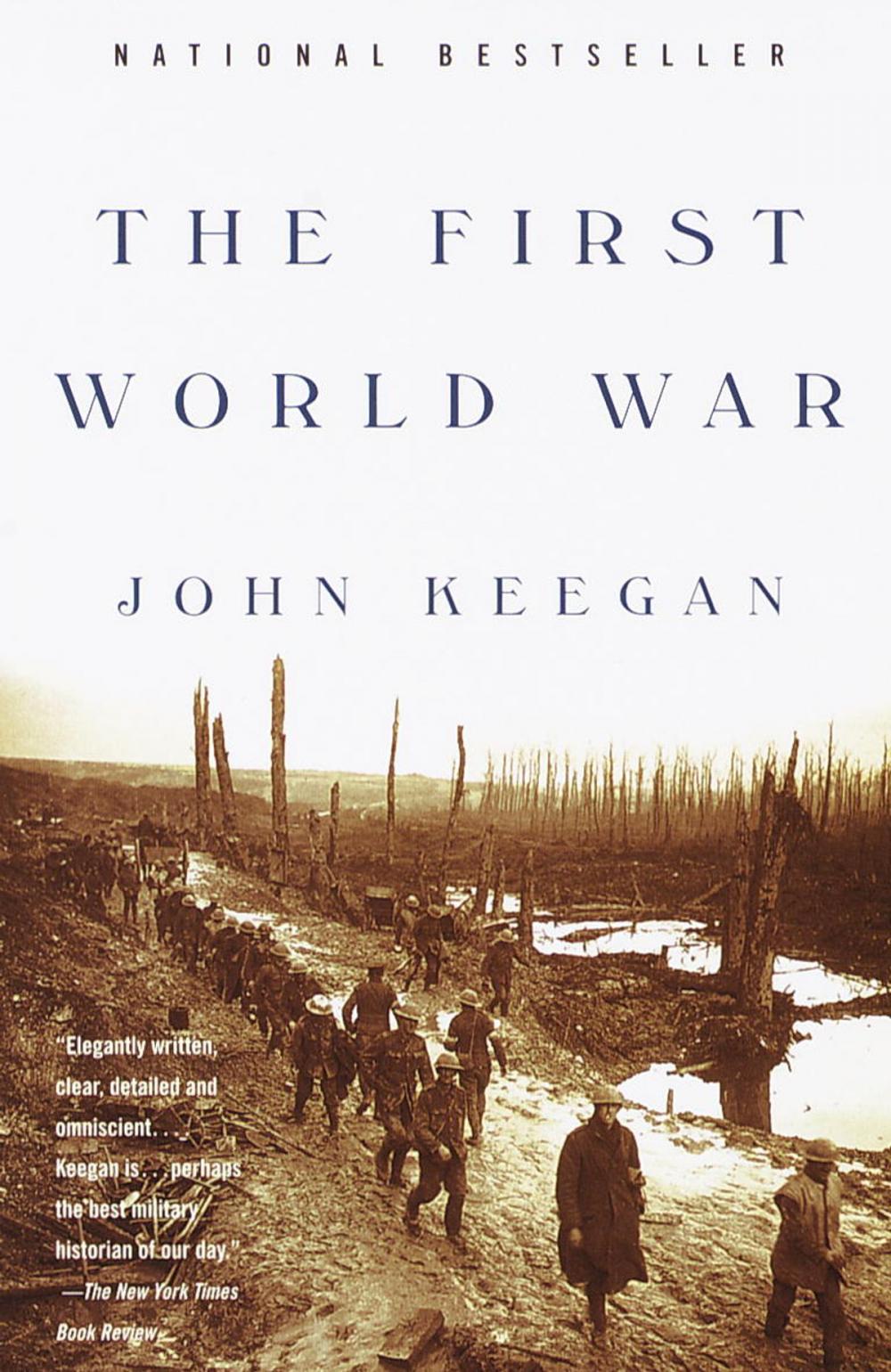 Big bigCover of The First World War